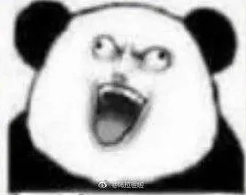 Meme gấu trúc troll quay nghiêng, miệng cong giễu.