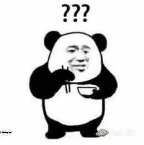 Meme gấu trúc troll mặt nhăn nhẹ pha chút trêu đùa.