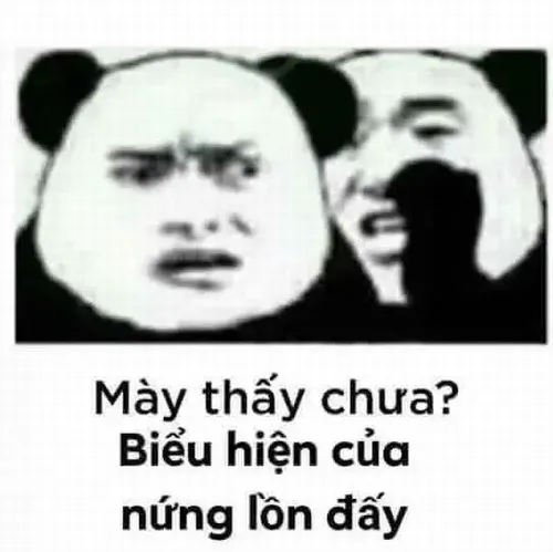 Nét tinh nghịch của gấu trúc troll face và sức hút khó cưỡng