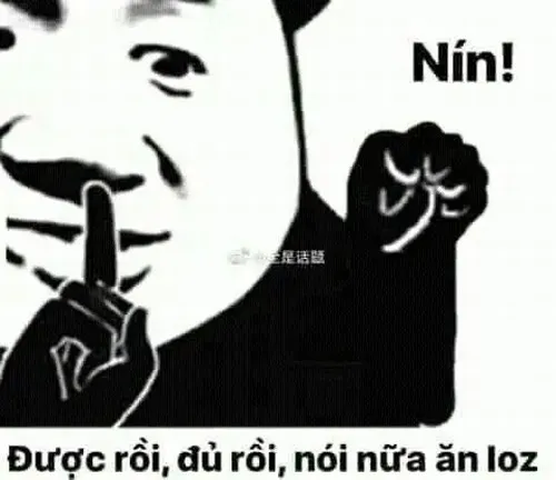 Ảnh vui gấu trúc nhướng mày như chọc đối phương.