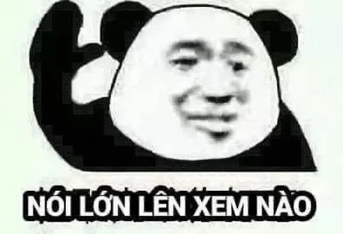 Khi nụ cười lệch của gấu trúc trở thành vũ khí cà khịa