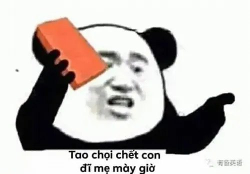 Meme gấu trúc troll ngồi thẳng lưng nhưng mặt tinh nghịch.