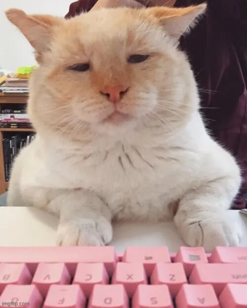 Ảnh vui biểu cảm nụ cười gượng cực đáng thương ghê