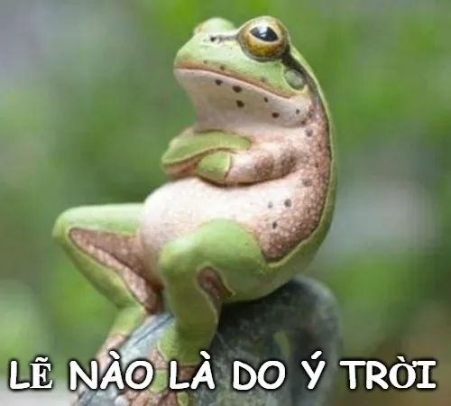 Meme chua chát mà duyên, nhìn là thấy “đời là thế”