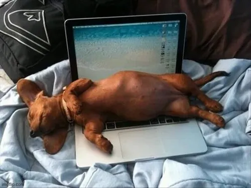 Ảnh vui mệt đầu pha chút châm biếm nhẹ nhàng