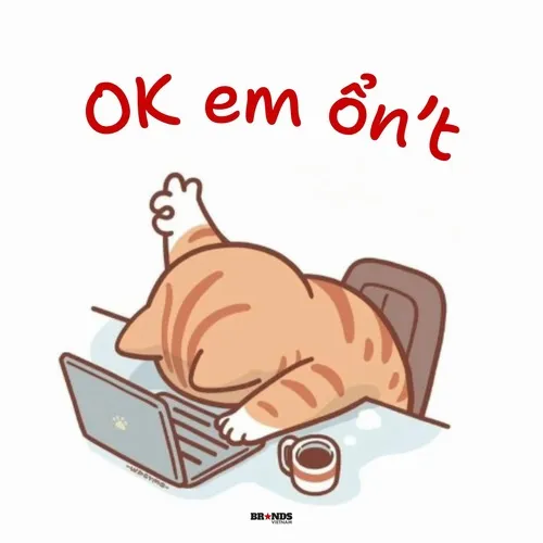 Meme chạy deadline với ánh mắt cầu cứu về phía group nội bộ.