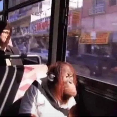 Bộ ảnh meme buồn tổng hợp những cảm xúc chân thật nhất của con người