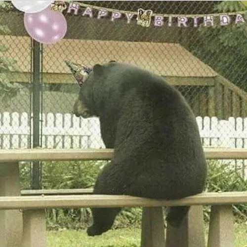 Meme buồn khiến bạn vừa đau lòng vừa thấy nhẹ nhõm lạ kỳ