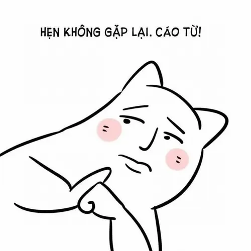 6 Bộ ảnh meme cáo từ giang hồ hiệp sĩ cực chất để đăng story
