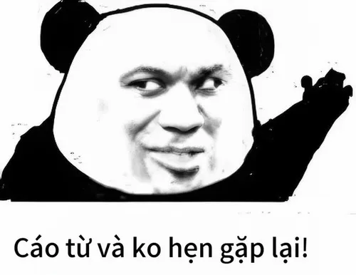 8 Meme Gấu trúc cáo từ phong cách Tiểu Long Nữ & Hư Trúc