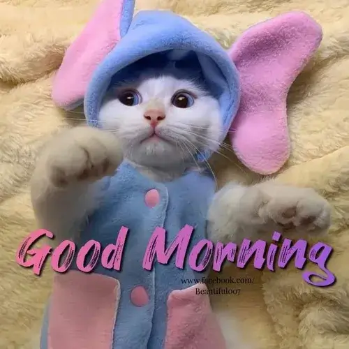 Ảnh vui năng lượng lan tỏa cảm xúc tươi sáng đầu ngày