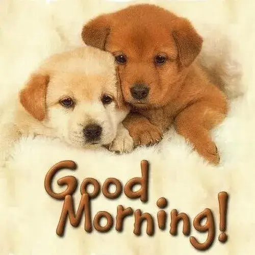 Hình chế meme vui với ly cà phê khởi động ngày mới