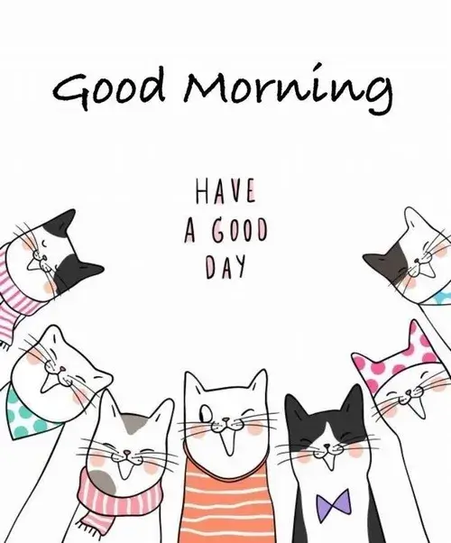 Hình troll đáng yêu chúc bạn buổi sáng an lành