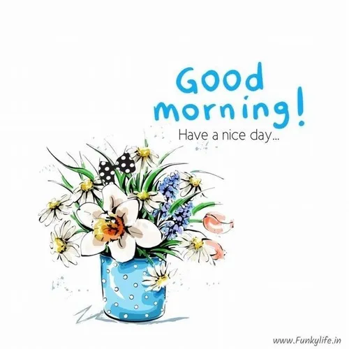 Ảnh troll buổi sáng hài hước giúp tỉnh táo và yêu đời