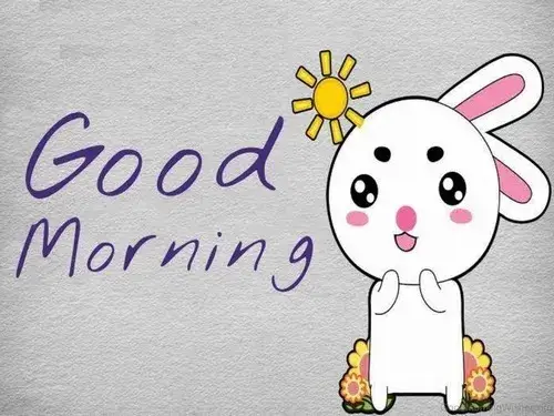 Hình troll buổi sáng dí dỏm khiến ai cũng mỉm cười khi thức dậy