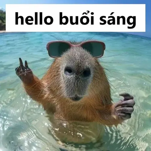 Ảnh chế buổi sáng đầy niềm vui và động lực sống