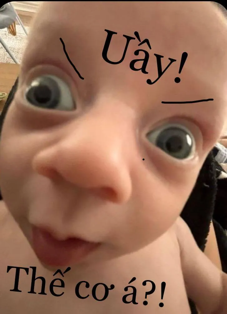 Ảnh troll biểu cảm bình thản thể hiện thái độ lạnh mà tinh tế