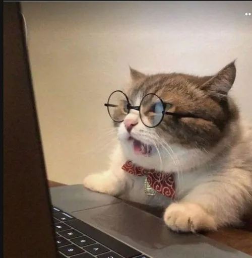 Ảnh troll dân agency vỡ kế hoạch giữa đêm muộn.