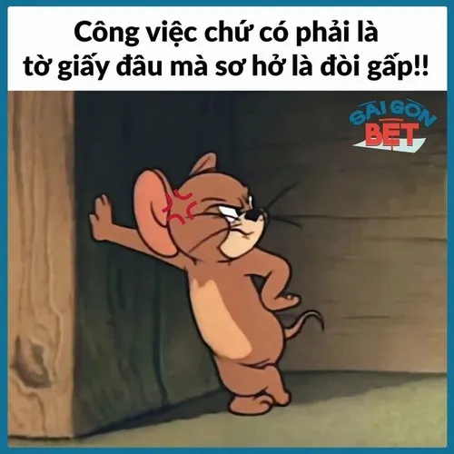 Ảnh troll nhóm sáng tạo kiểm tra file lần cuối cùng.