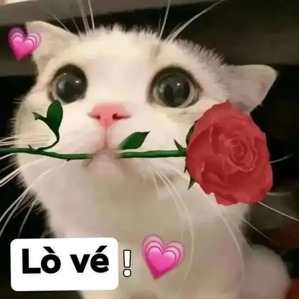 Khoảnh khắc crush like story mà tim đập