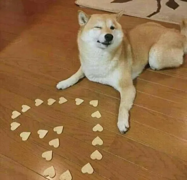 Hình chế yêu nhau nhưng vẫn hay cà khịa