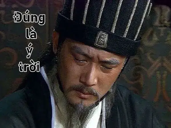 Ảnh troll cam chịu thể hiện nét triết lý dân mạng