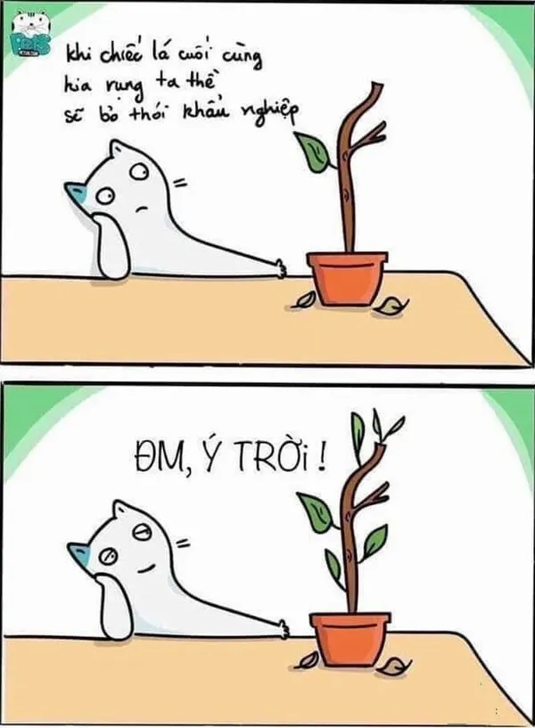 Hình chế định số khiến ai xem cũng bật cười chua chát