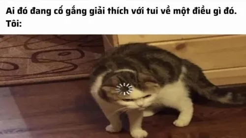 Ảnh vui gương mặt người đang cố gắng hiểu nhưng bất lực