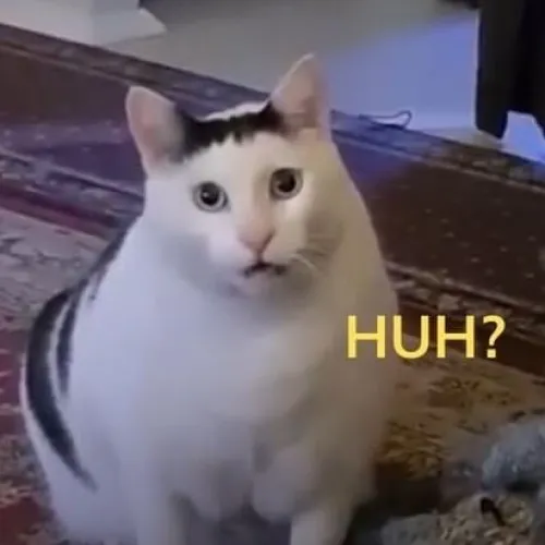 Ảnh meme mèo huh tỏ vẻ không hiểu gì