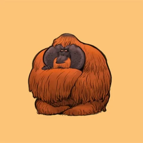 Meme hài ánh mắt giận dữ phản chiếu cảm xúc thật