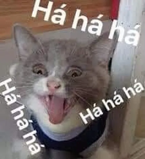 Meme chế mèo lầy giả làm tượng sống nhìn lạnh tanh.