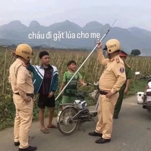 Meme hài bá đạo khiến ai cũng cười nghiêng ngả