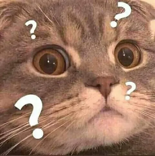 Meme vui nhộn lan truyền nhờ caption cực mặn mòi.