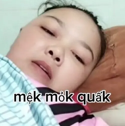 Ảnh vui học sinh mệt rã rời vì thi liền 3 môn