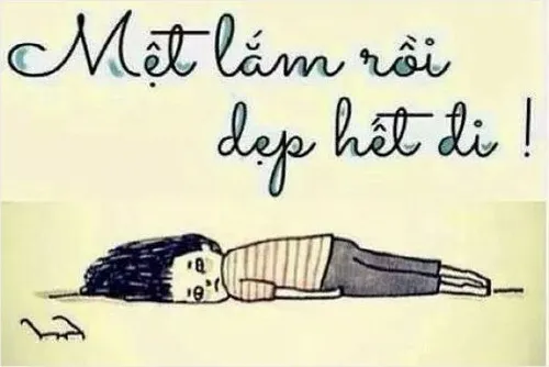 Hình troll biểu cảm tỉnh như chưa từng ngủ 2 tiếng