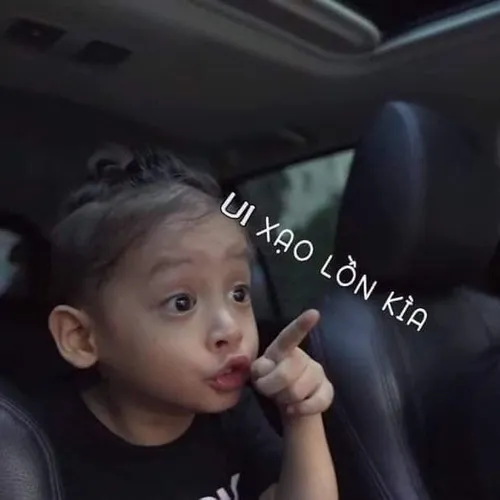 Ảnh vui nín giùm biểu cảm lạnh khiến dân mạng cười khổ