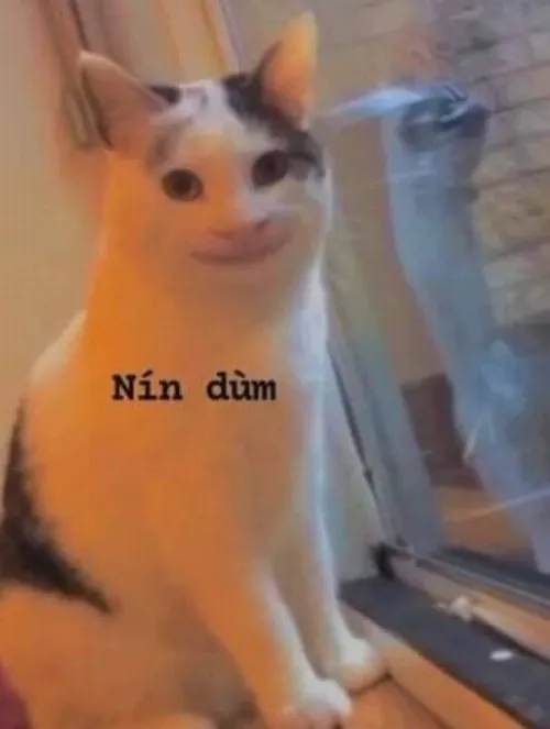 Meme chế im mẹ mồm nét mặt lạnh khiến người khác đứng hình