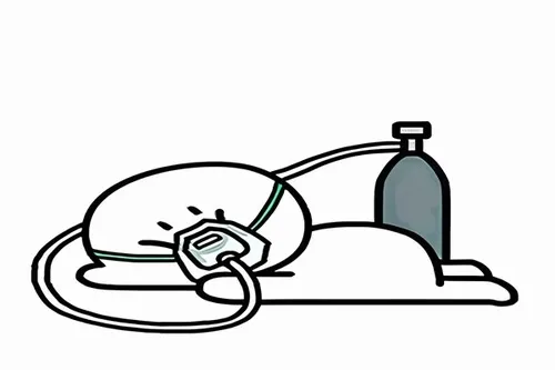 Meme hài thở oxy tượng trưng cho sự mệt mỏi nhưng vẫn cố gắng