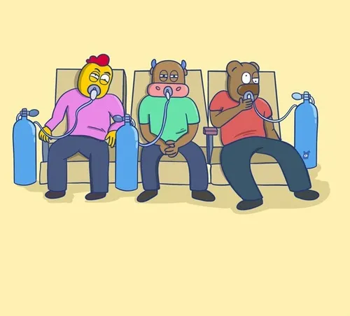 Ảnh vui thở bình oxy lan truyền khi dân mạng “cháy deadline”