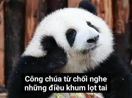 Meme chế phản ứng tinh tế trong đoạn chat đầy ẩn ý