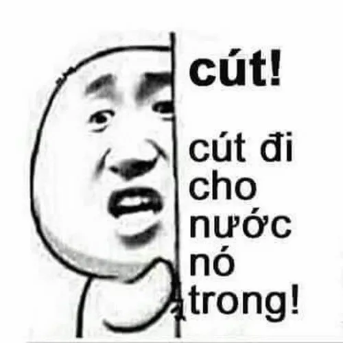 Hình troll bay biến, dùng khi ai nói nhảm trong nhóm.