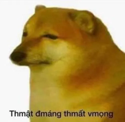 Ảnh vui ánh mắt chán nản kiểu bất lực