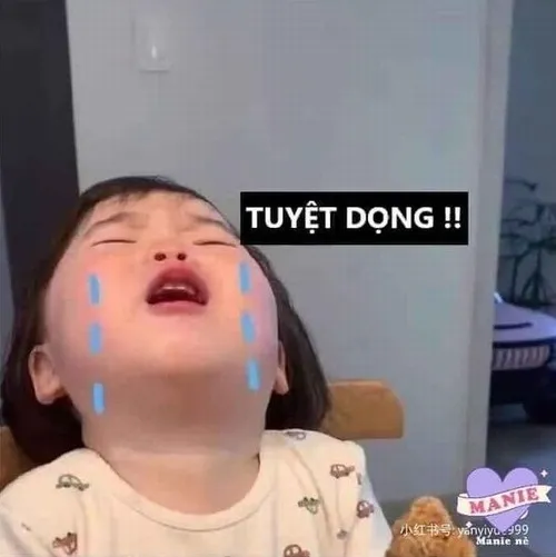 50 Meme Thất Vọng, Tuyệt Vọng bộc lộ cảm xúc chân thật, giúp bạn nói hộ tiếng lòng
