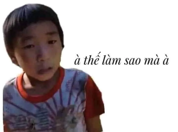 Ảnh vui biểu cảm giả nai gợi cười kín đáo và cay nhẹ