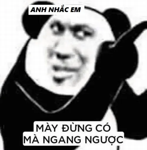 31 Hình troll người quên việc, anh nhắc em nhói nhẹ.