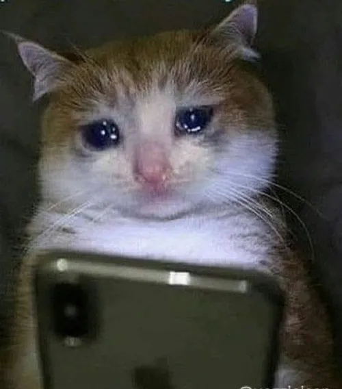 Khi meme xúc động trở thành “nhật ký lặng” của một thế hệ nhiều tâm tư.