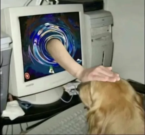 Meme hài nhẹ pha lẫn thương mến và buông bỏ.