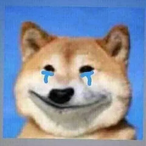 Hình chế vui khiến người xem nghẹn ngào và đồng cảm.