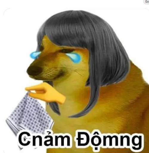 Ảnh buồn khẽ ánh lam pha lẫn vàng rơi xuống nền lạnh.