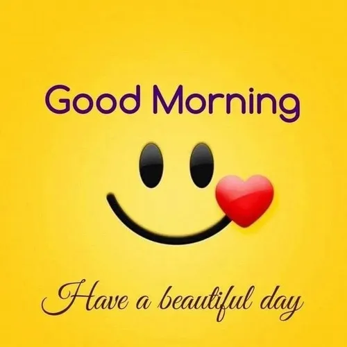 Ảnh troll buổi sáng hài hước giúp giảm căng thẳng